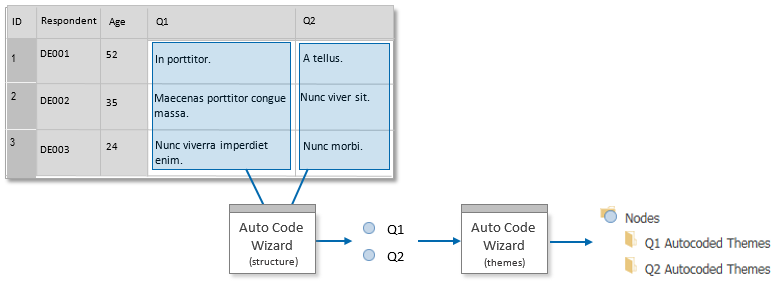Process for auto coding using the Survey Import wizard.