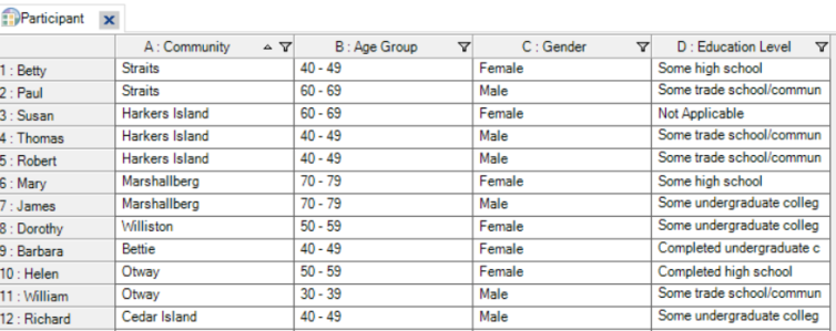 Participant classification sheet with cases and demographic information.
