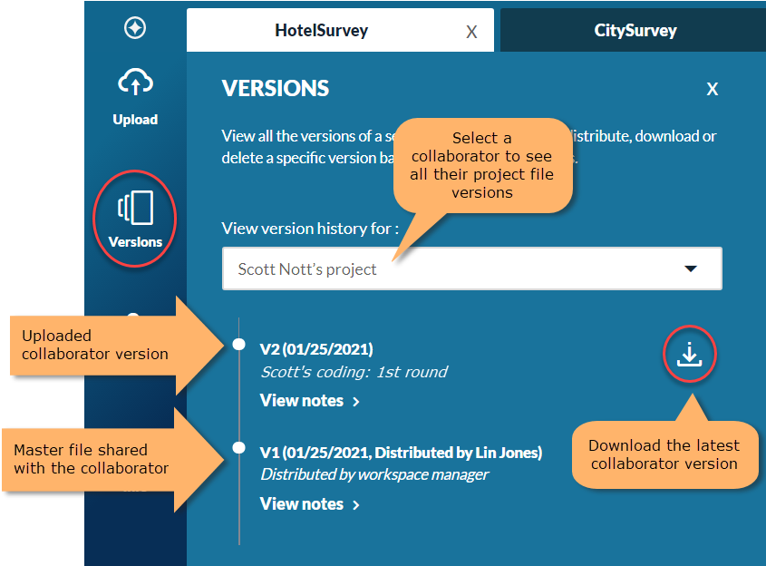 master file + nvivo 12